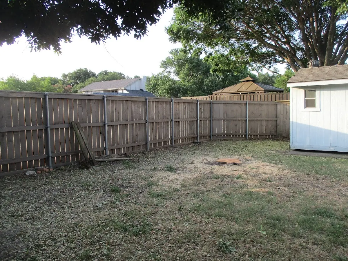 Cleared yard after professional tree removal in Summer Shade